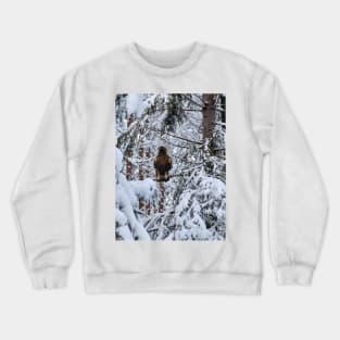 Lapland Crewneck Sweatshirt